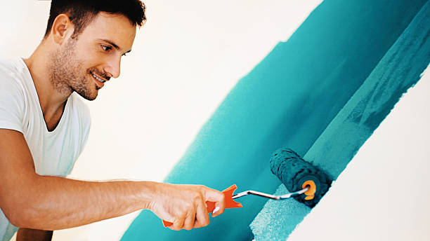 Best Residential Painting  in Royalton, IL